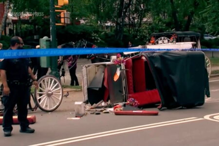 Central Park horse carriage rides paused after tourist’s death