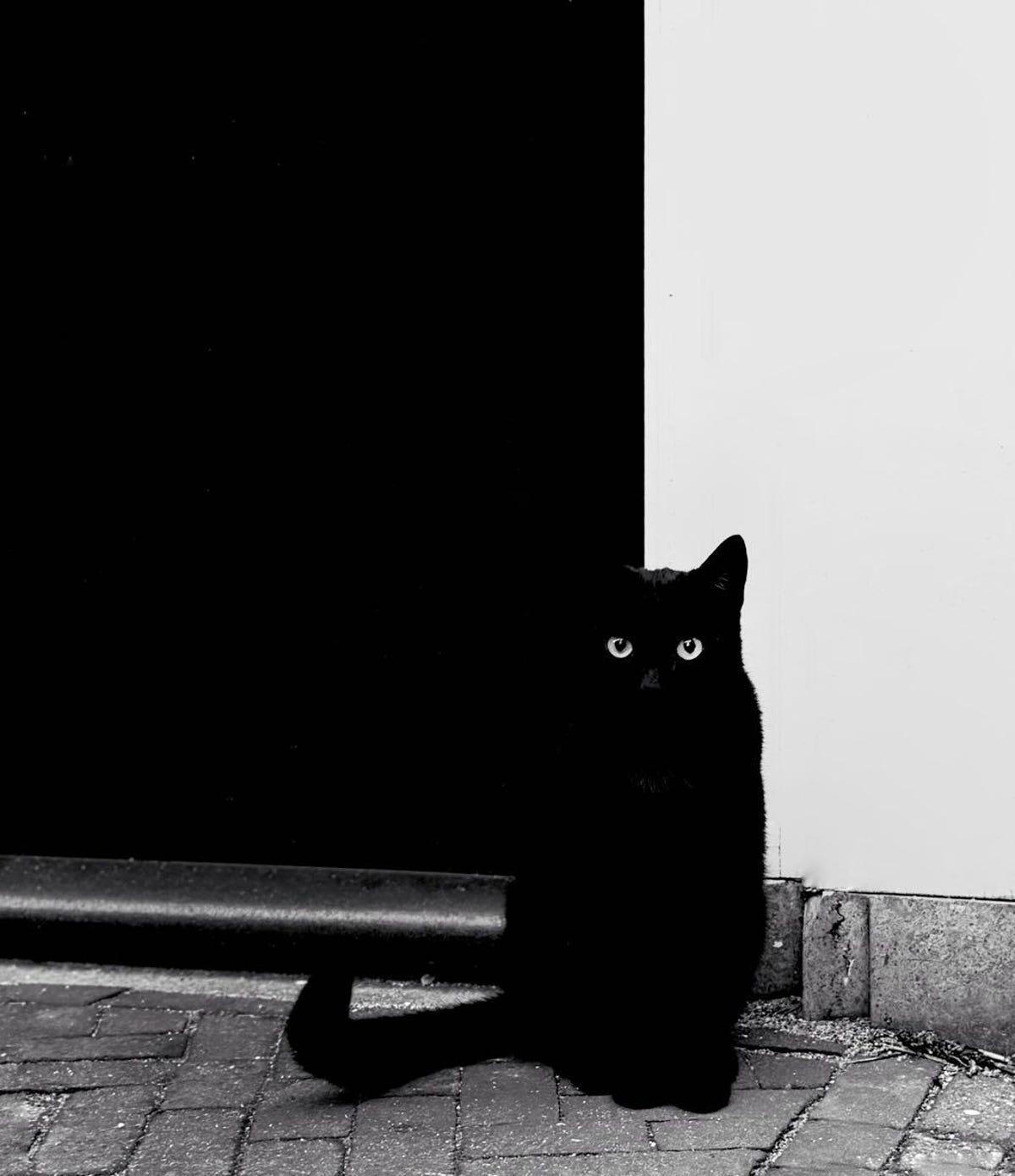 Black and white photo of a black cat against a white wall and a dark doorway.