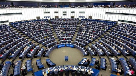 EU Parliament triggers procedure to ban AfD’s EU Party