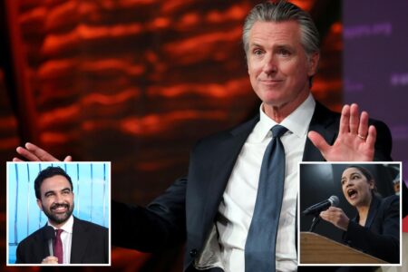 Newsom tells Democrats to be in the ‘addition not subtraction’ business with socialists