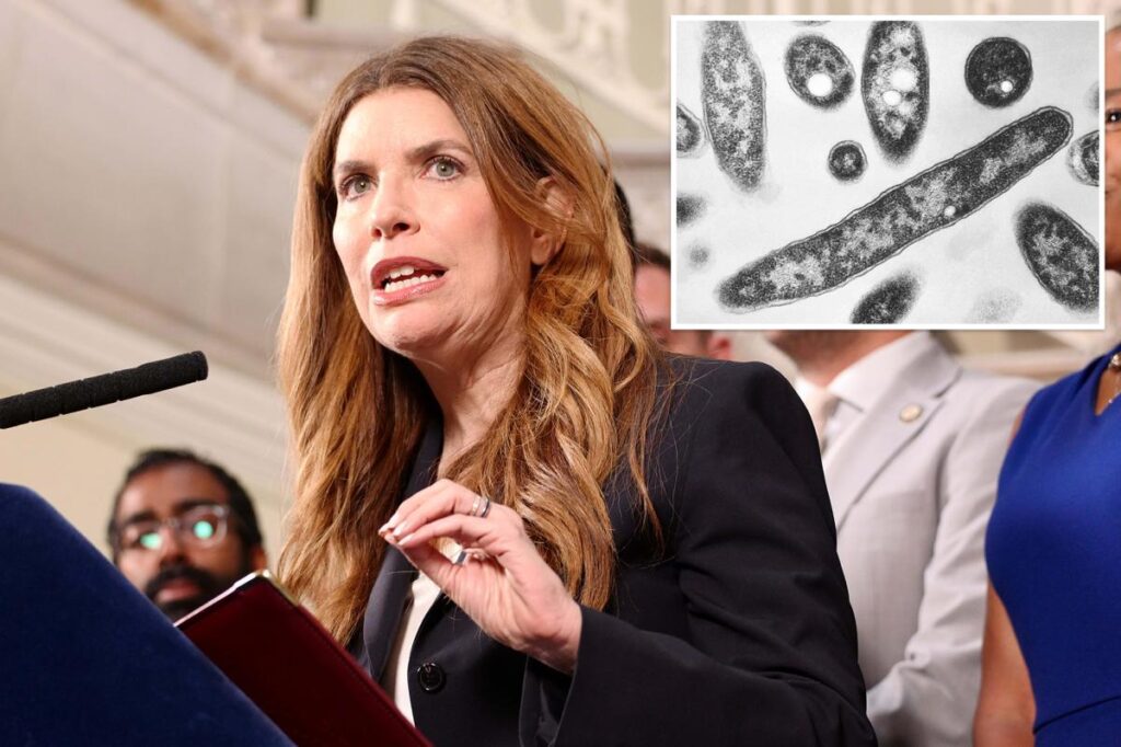 Council Speaker Julie Menin demands NYC-ordered cooling tower inspections to stop Legionnaires’ disease spread