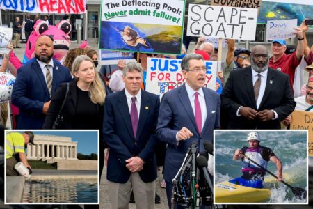 Ex-Olympic canoeist David Hearn pleads not guilty to vandalizing Lincoln Memorial Reflecting Pool: ‘Not a crime to touch water’