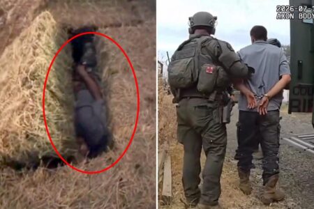 Domestic violence suspect hides in haystack as California cops use clever tactic to find him