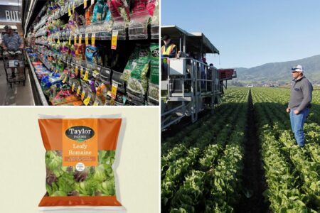 Taylor Farms releases full recall list after ‘explosive diarrhea’ cyclosporiasis outbreak