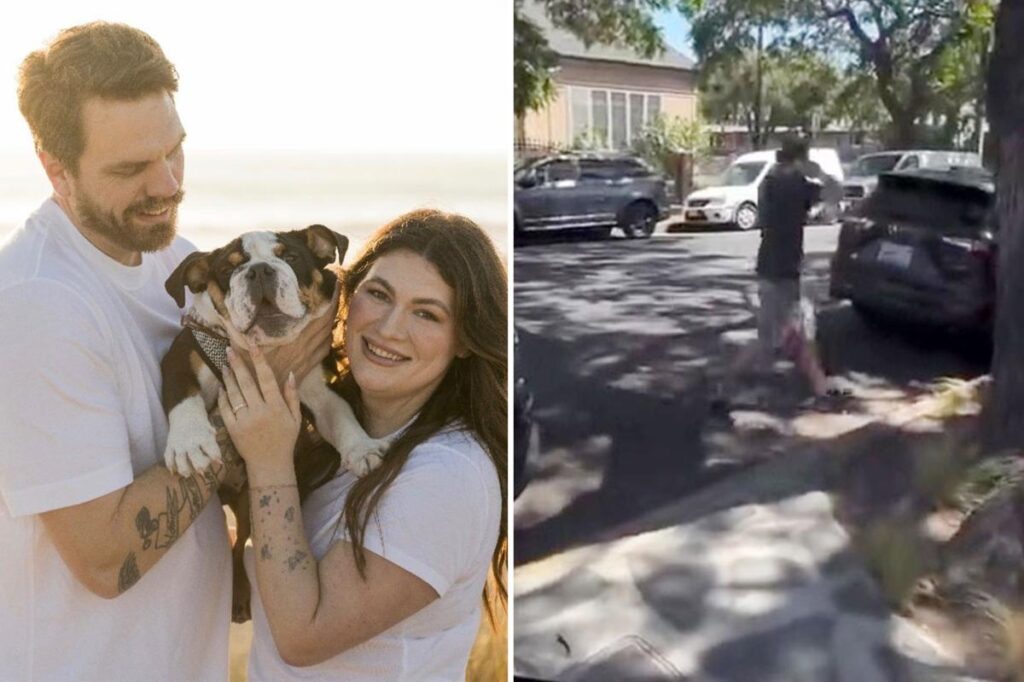 Disgusting moment ‘Disneyland for Dogs’ hands California couple their beloved puppy back in a plastic tub