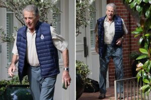 Nancy Pelosi’s husband Paul breaks cover for the first time since being charged over latest hit-and-run crash