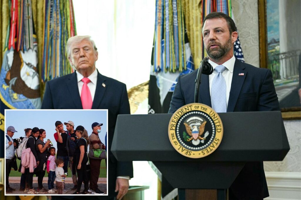DHS issues $84B in fines to illegal immigrants under Trump administration