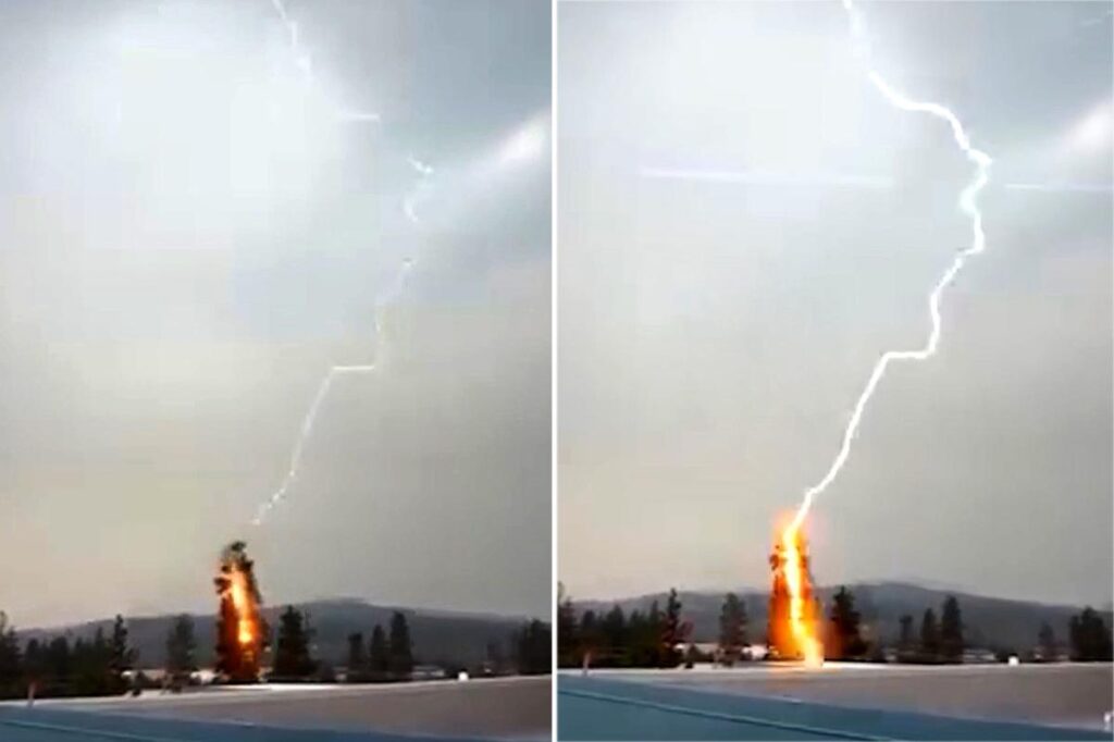 Powerful storm sees 2,000 lightning strikes spark 35 wildfires in just hours on West Coast