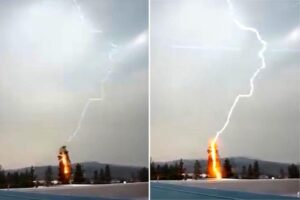 Powerful storm sees 2,000 lightning strikes spark 35 wildfires in just hours on West Coast