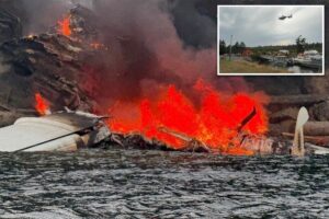 Plane with 11 on board bursts into flames after crash-landing off Washington island