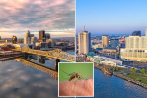 Top 10 worst states for battling mosquitoes thanks to heat and humidity