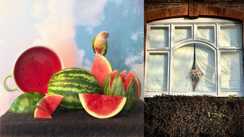 Winners from the 2026 iPhone Photography Awards