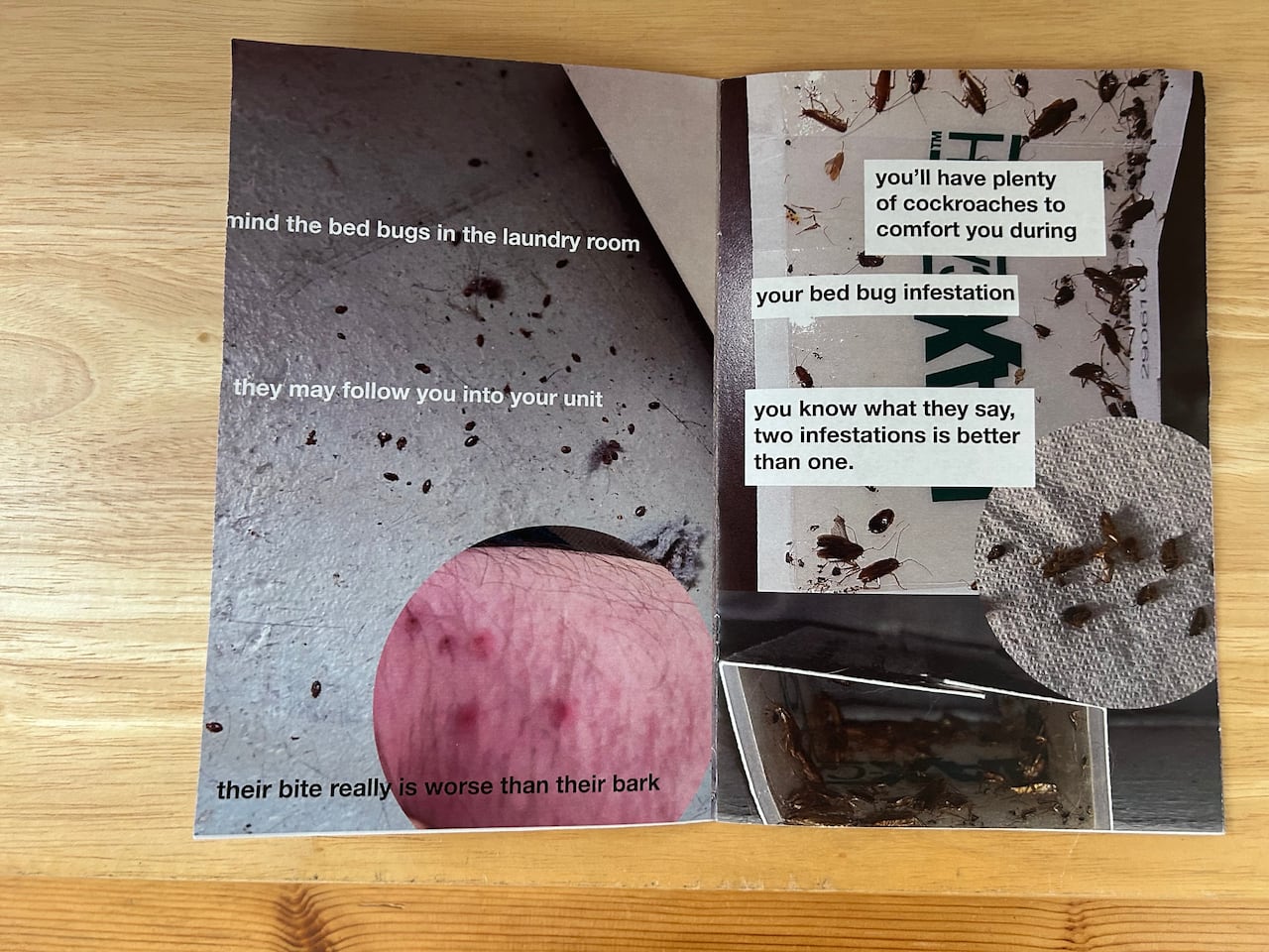 Spread on a wooden surface, two pages of a booklet show a variety of photographs of what appear to be insect infestations as well as a photo of skin that seems to show bite-like injuries.