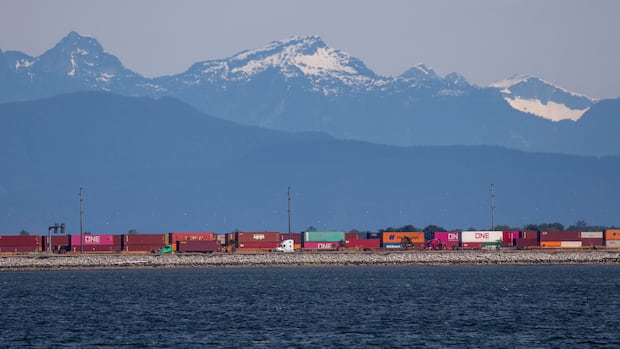 Why expansion of Delta, B.C., container port is going hand-in-hand with Alberta pipeline