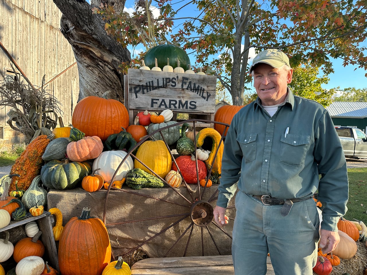Roy Phillips's family has owned the Philips Family Farm since 1910. He says although he's heard of pumpkin shortages in southern Ontario, that's definitely not the case for his farm. 