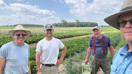 Ontario farmers embrace extreme heat after weeks of storms, hail damage crops