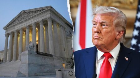 Trump to ask Supreme Court to rehear birthright citizenship case after ‘insane decision’