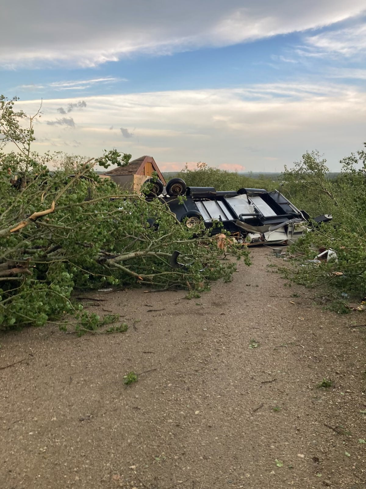 The undercarriage of a trailer flipped over in a field filled with toppled trees.