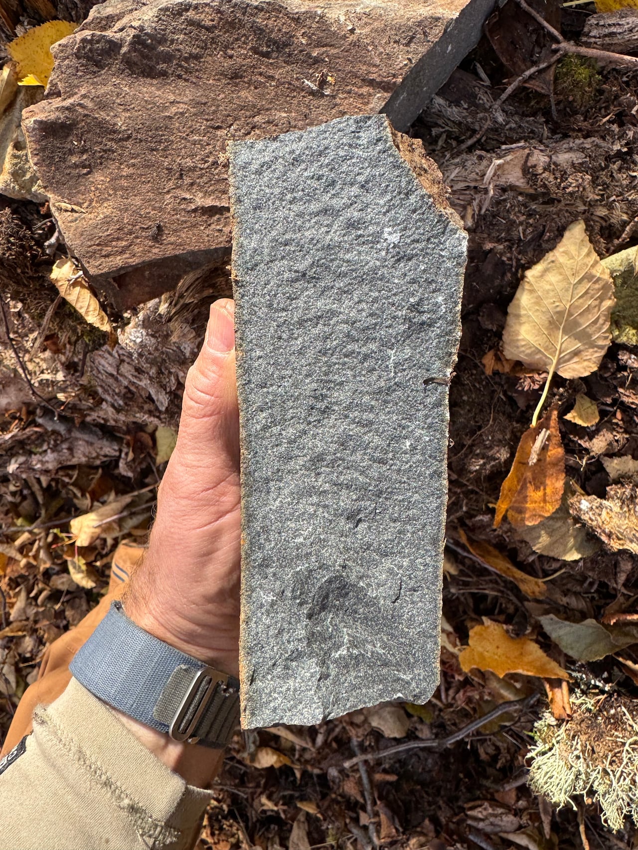A rock being held in someone's hand