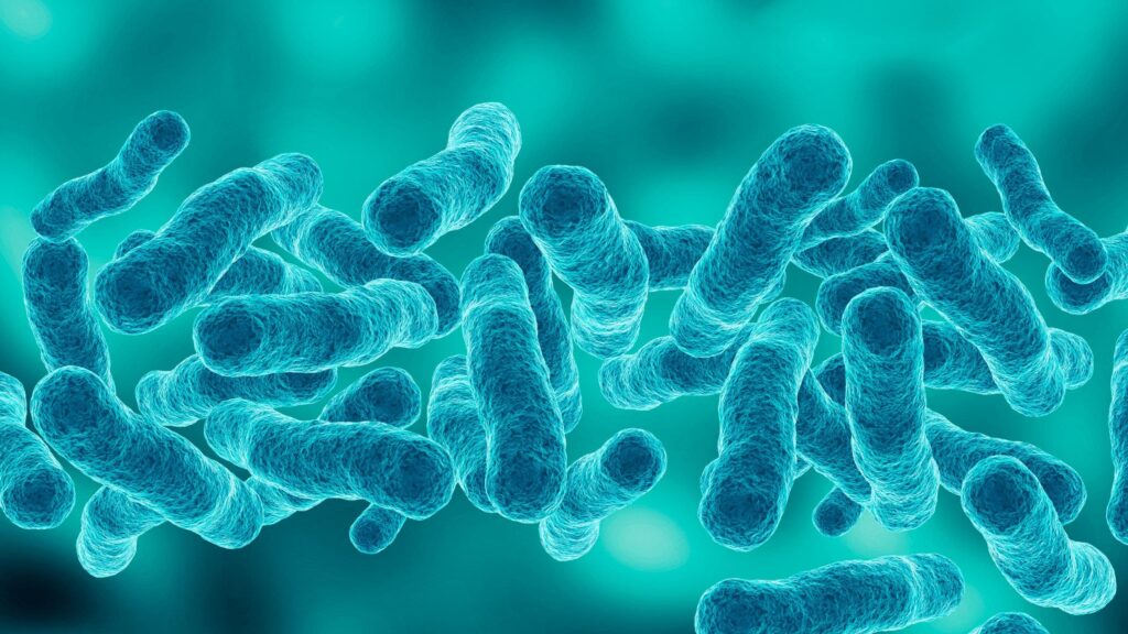 First death reported in Upper East Side Legionnaires’ disease outbreak as cases rise to 67