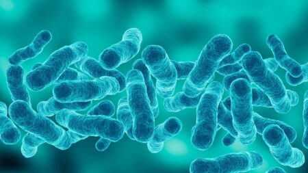 First death reported in Upper East Side Legionnaires’ disease outbreak as cases rise to 67