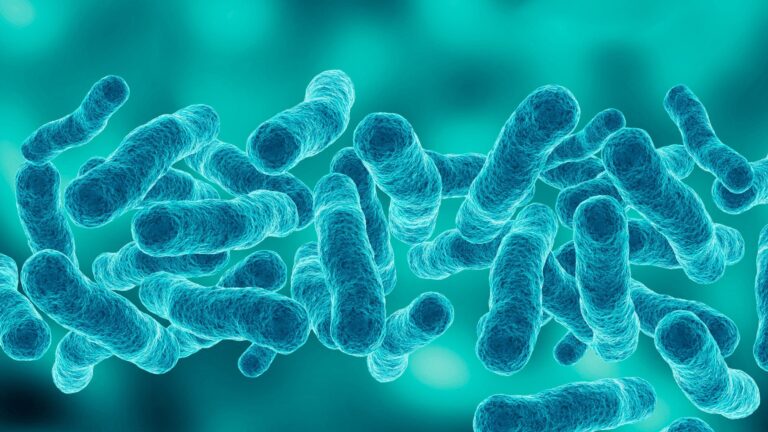 First death reported in Upper East Side Legionnaires’ disease outbreak as cases rise to 67