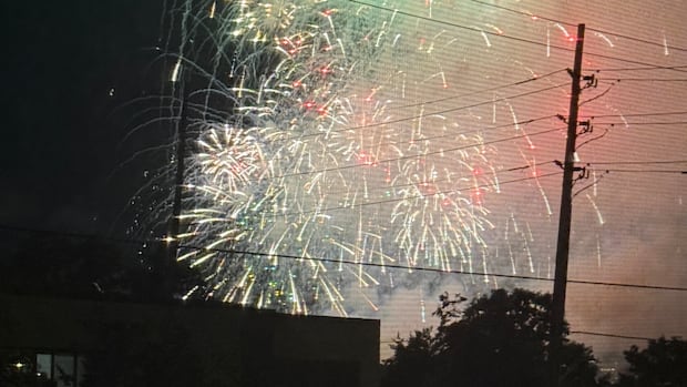 City official ‘extremely sorry’ for impact of surprise fireworks