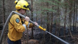 Province says Eastern Shore wildfire now being held; residents allowed to return home