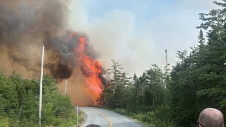 Eastern Shore wildfire jumps significantly in size to 1,700 hectares