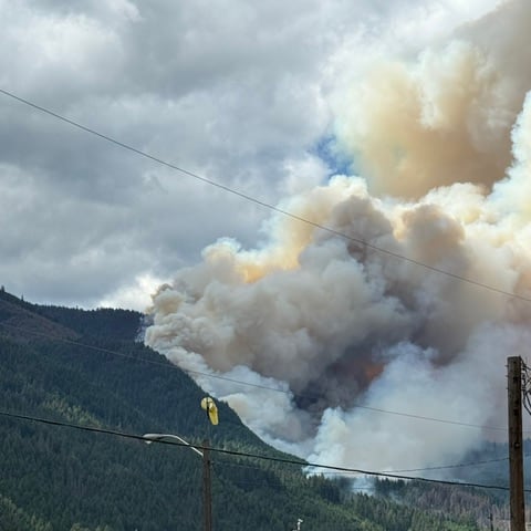 Thick brown and white smoke rises from a forested mountainside near a road.