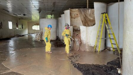 Decades in the making, work begins to remove rotten fish sauce from St. Mary’s plant
