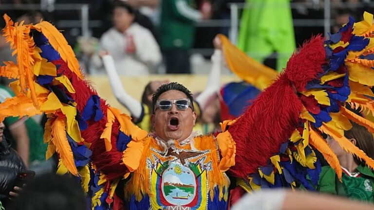 Mexico fans celebrate World Cup win over Ecuador