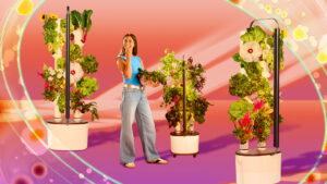 Fed Up of Lettuce Recalls, I Started Growing Greens in This Smart Garden