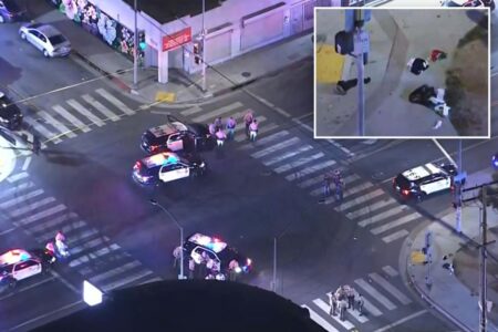 Four people shot in east Los Angeles following Mexico-England World Cup match: cops