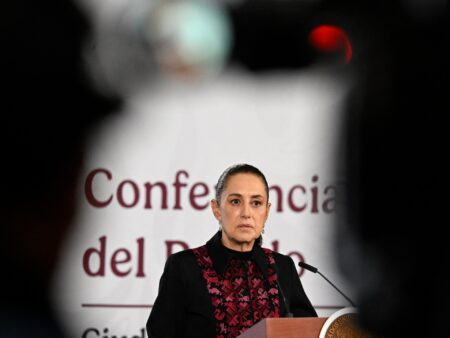 Mexico begins legal action in US over deaths of its citizens in ICE custody