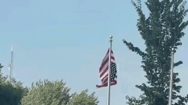 Upside-down American flag at Minnesota Somali celebration sparks community chaos: ‘Unfathomable’