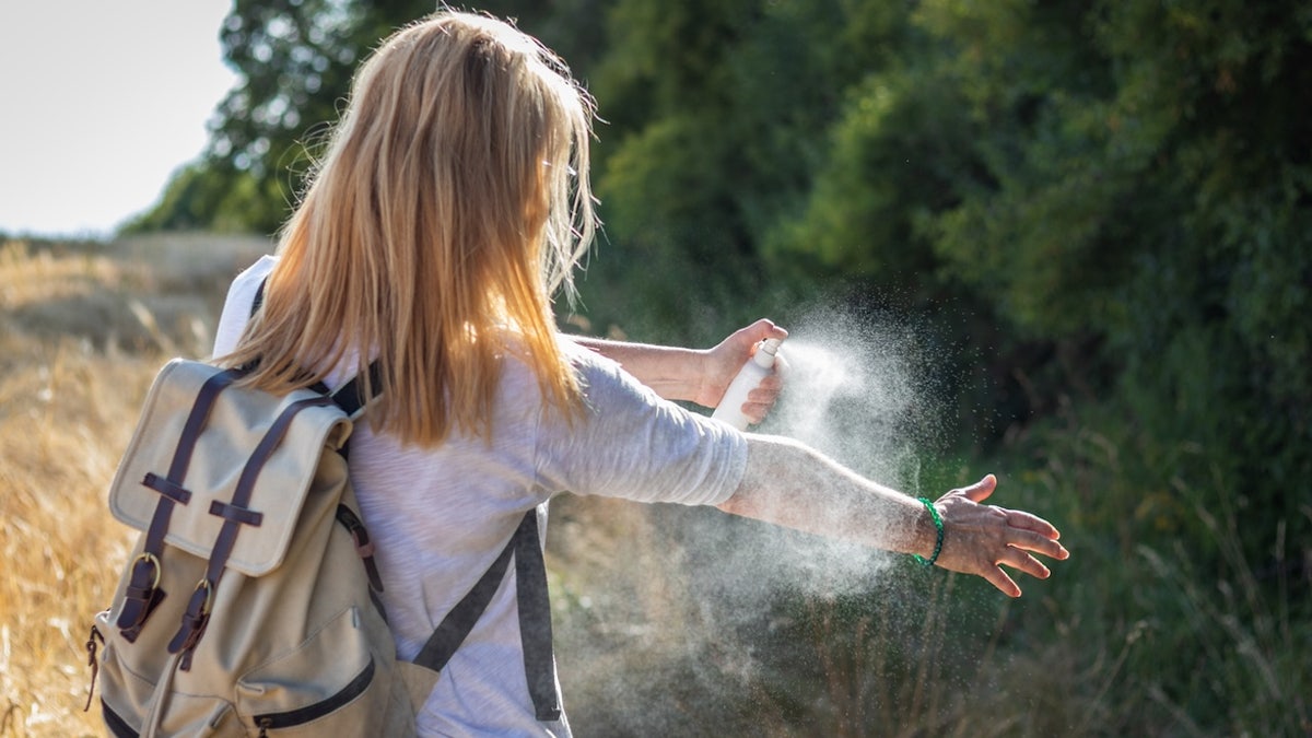 Bear or bug spray