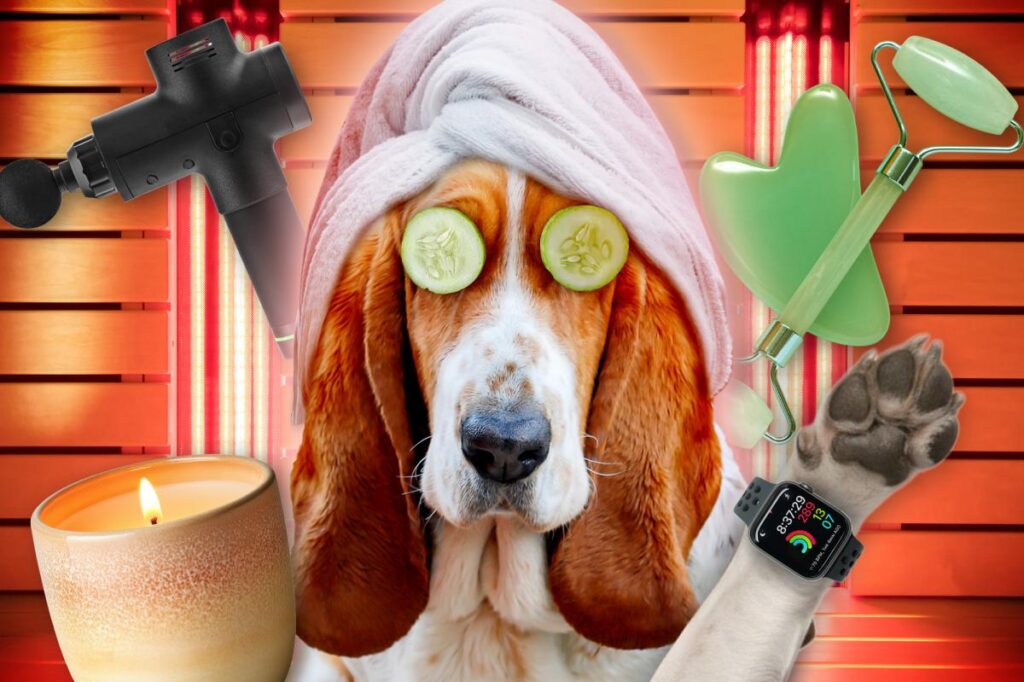 Exclusive | Meet the pet owners spending thousands of dollars on doggy wellness — from $800 red light therapy to $750 PEMF beds