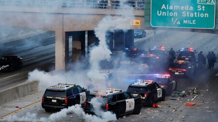 Violent anti-ICE rioter who targeted police finally faces reckoning in federal court