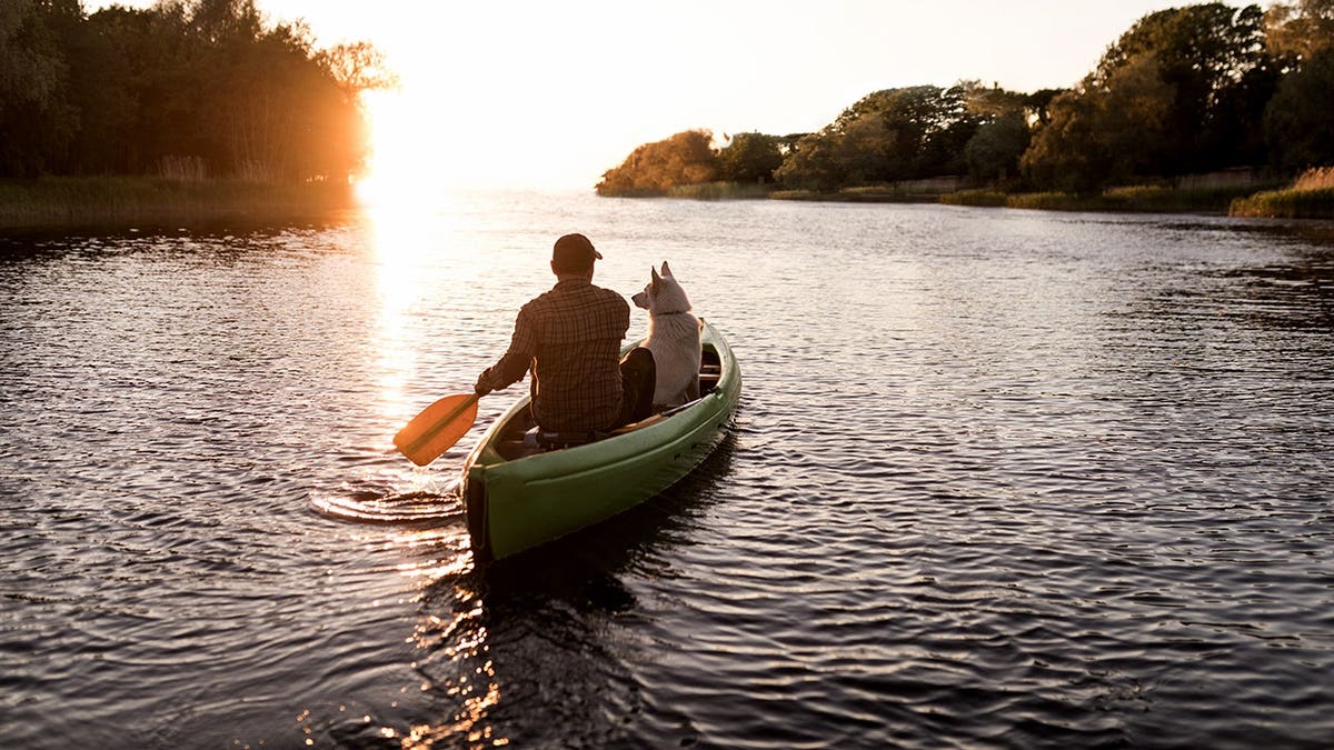 Man and dog paddle a canoe on a river during sunset.