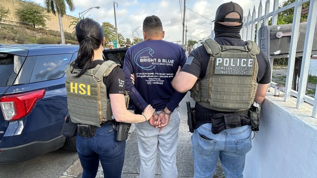 File photo shows Homeland Security Investigations (HSI) agents escorting a handcuffed individual during a law enforcement operation.