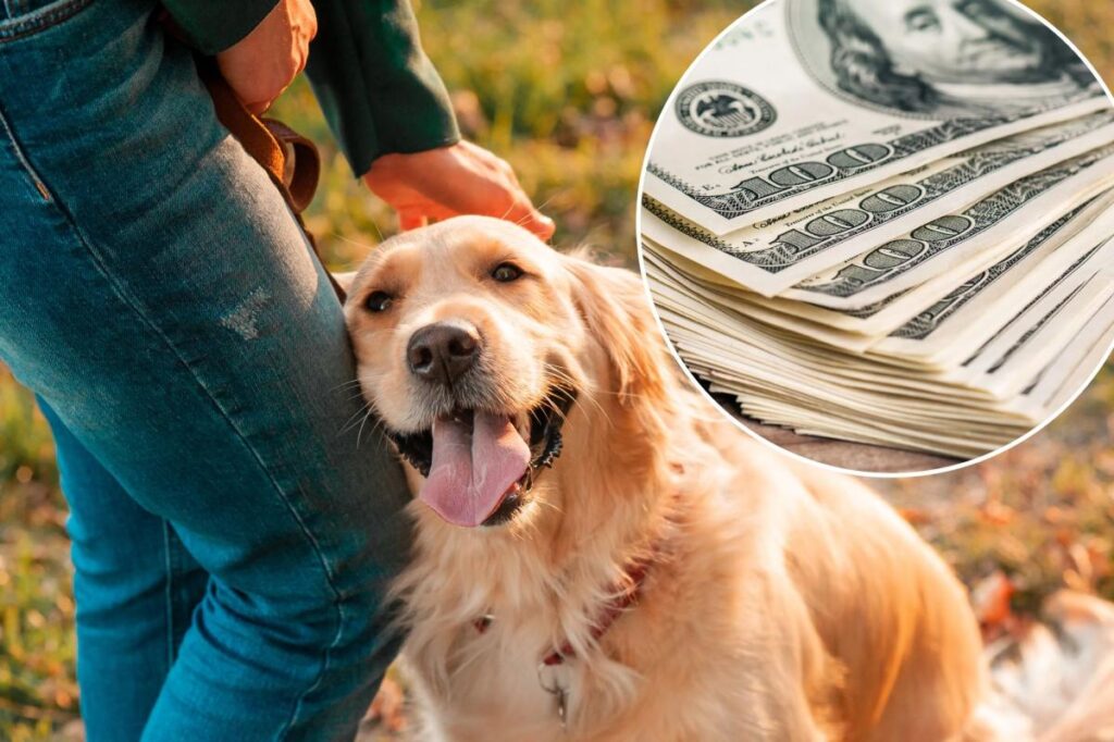 The $50,000 dog: Inside the pet debt crisis hitting a breaking point in 2026