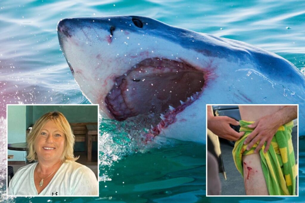 Why shark attacks in US waters are already nearing double figures even though summer just kicked off