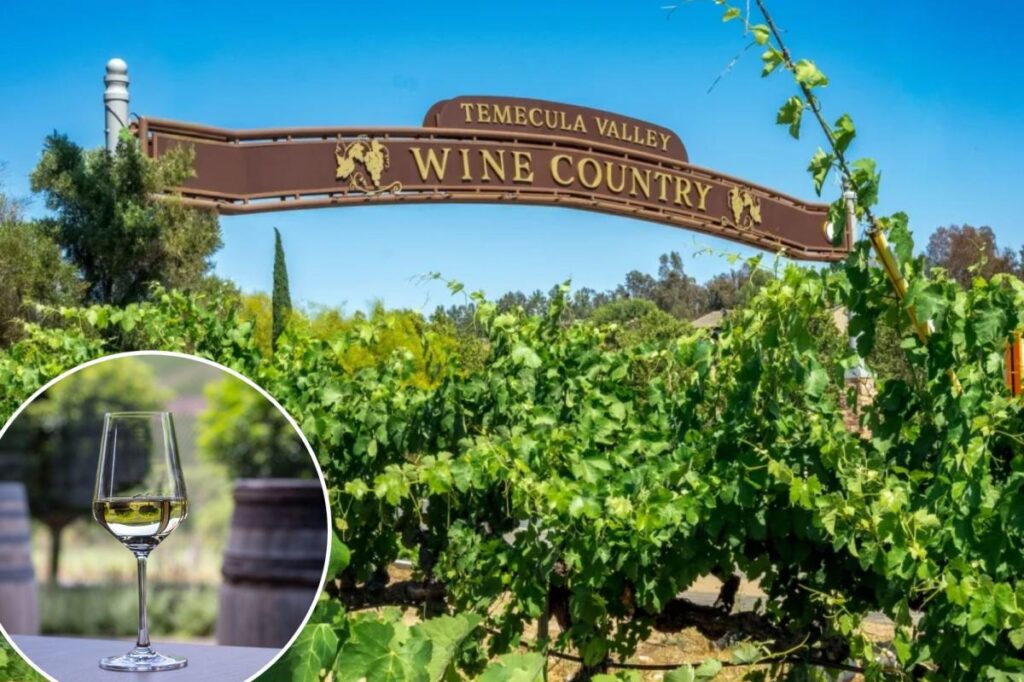 Winery just 90 minutes from LA nominated as one of the nation’s best