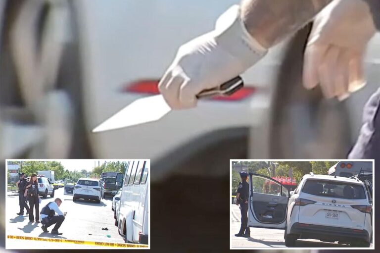 Maniac hacks man with meat cleaver during early morning road-rage clash in Queens: sources