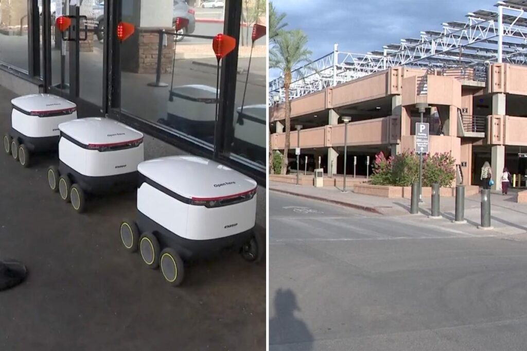 Arizona woman sues after suffering serious injuries from food delivery robot attack