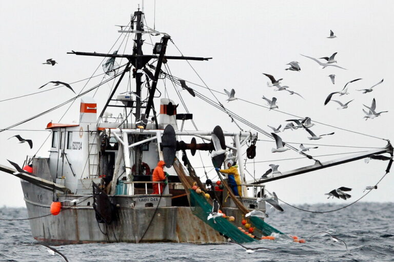 NOAA report finds Gulf of Maine warming slowed, but ecosystem unstable