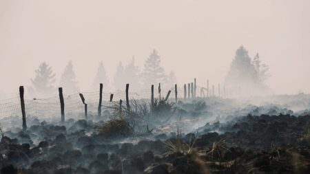 Belgium wildfire ‘encircled’ overnight, situation still ‘complicated’