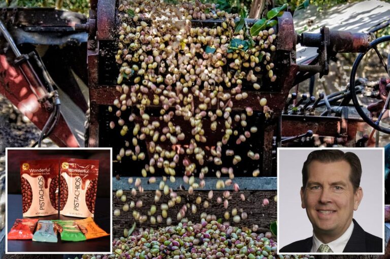 Pistachio prices skyrocket after California crop disaster