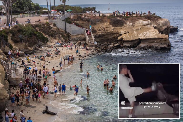 San Diego tourism hotspot could be shutdown after teen kicking seal video sparked outrage